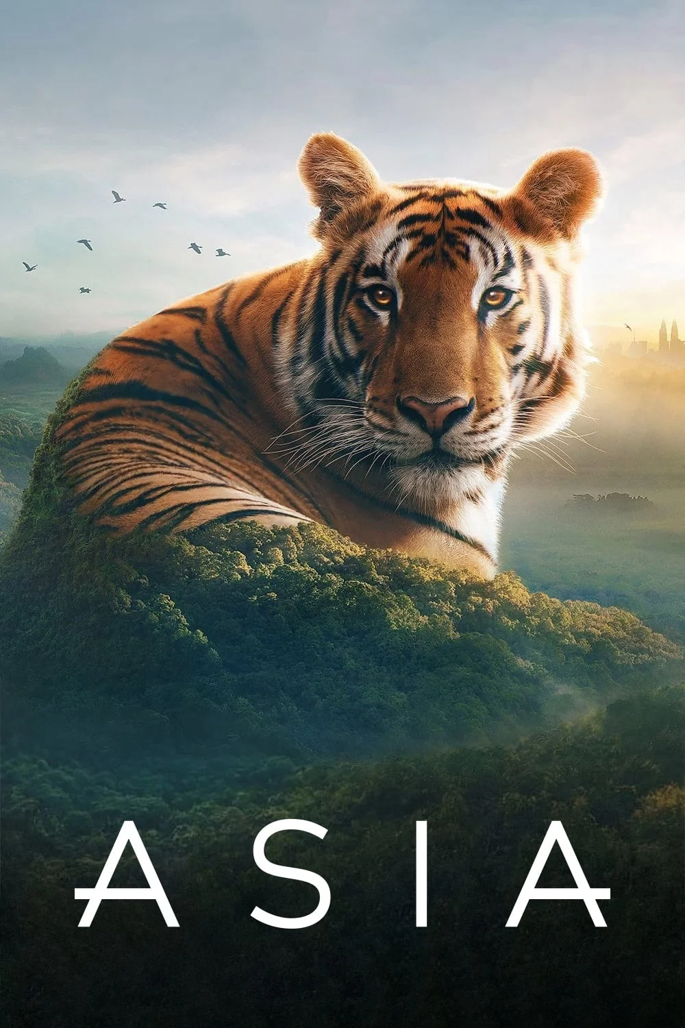 Asia - SubNhanh
