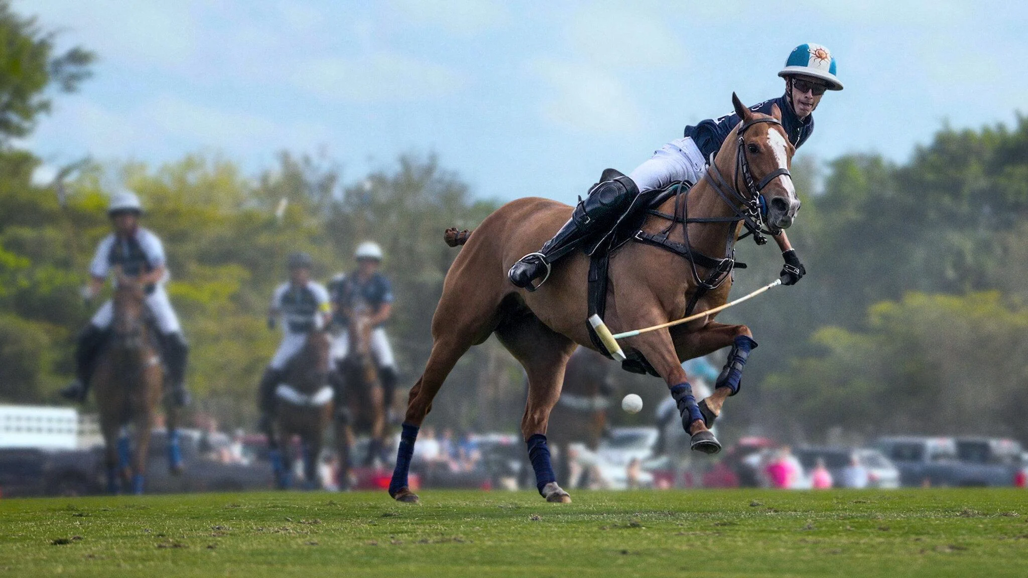 Polo - SubNhanh