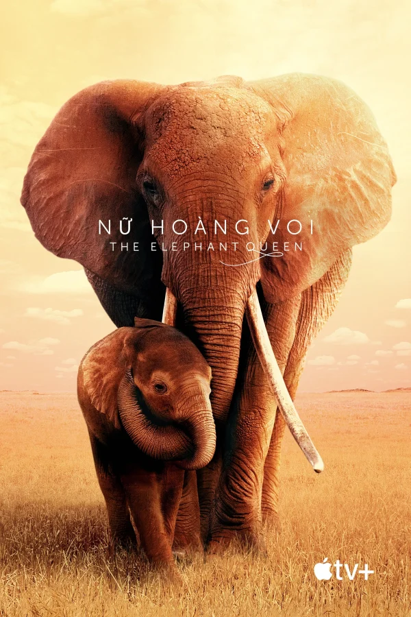 Nữ Hoàng Voi - SubNhanh