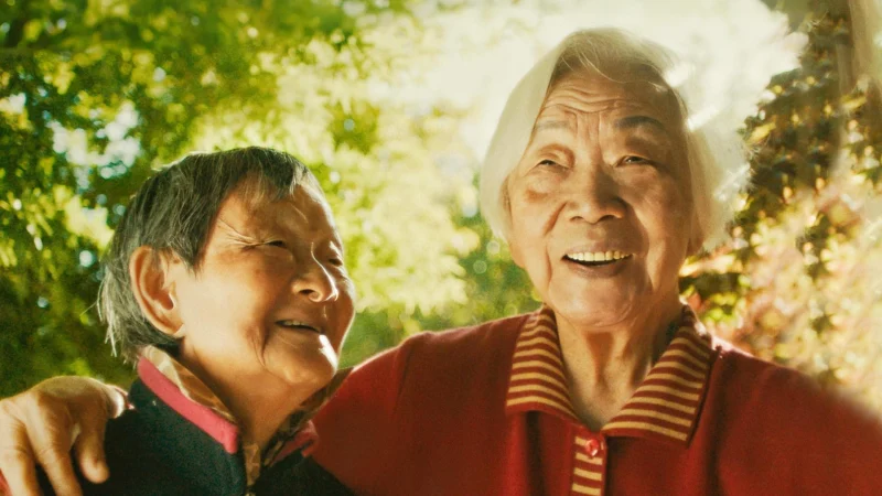 Nǎi Nai & Wài Pó - SubNhanh