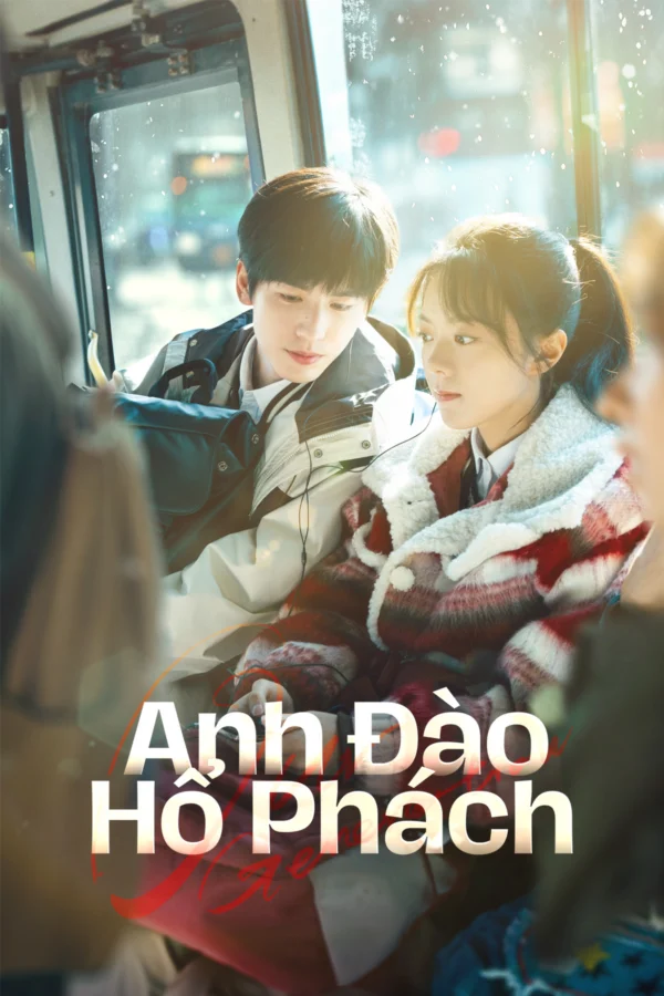 Anh Đào Hổ Phách - SubNhanh