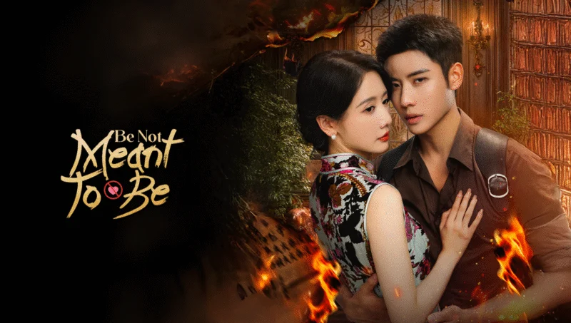 Quân Phi Lương Nhân - SubNhanh