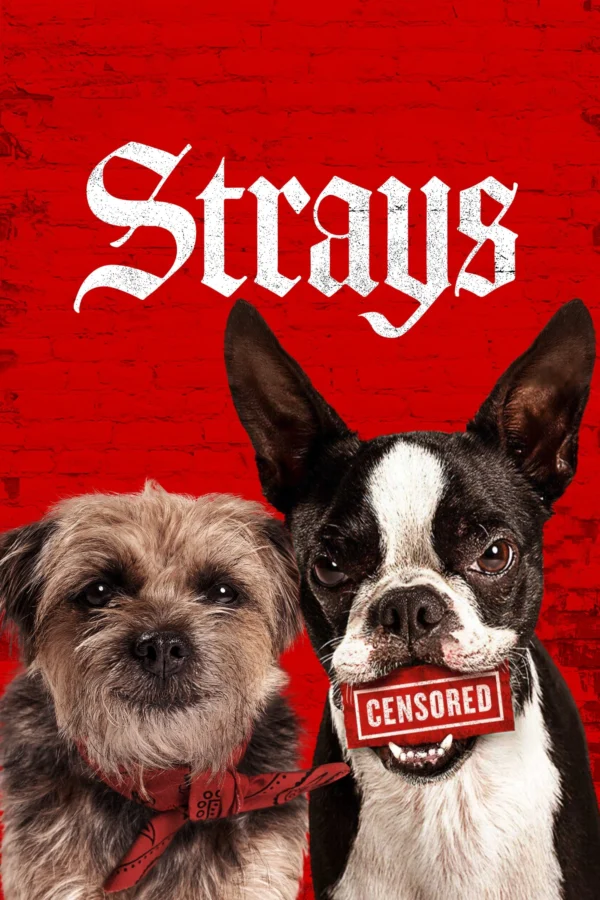 Đời Quá Chó (Những Chú Chó Bụi Đời) - Strays (2023)